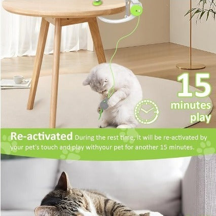 Mouse Electric Toy