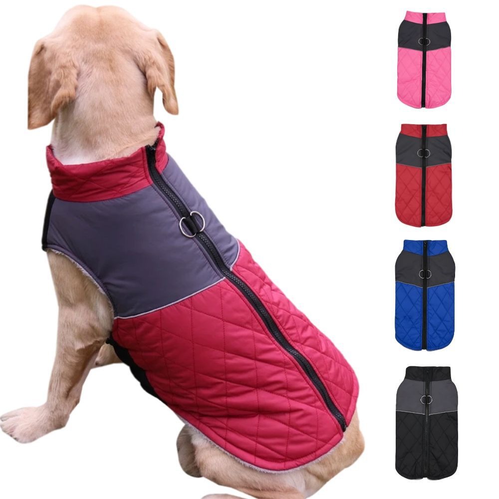 Waterproof Winter Dog Jacket (XS–3XL)