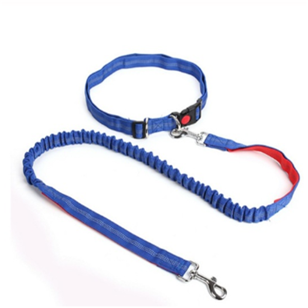 Dog Leash and Tethering Rope for Pets