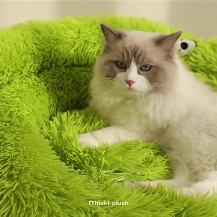 Cat & Small Dog Bed