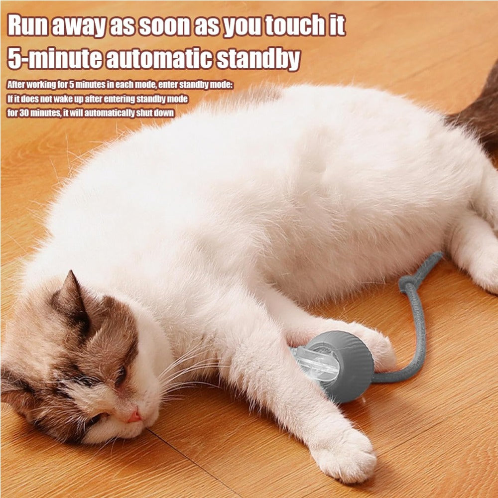 Interactive Rolling Cat Ball Toy