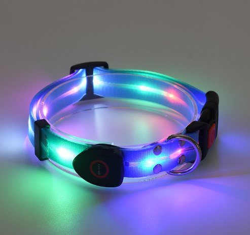 Rechargeable LED Luminous Nylon Pet Collar & Tow Rope
