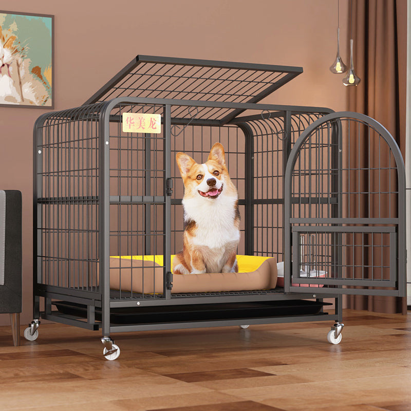 Indoor Fenced Corgi Kennel for Detached Homes