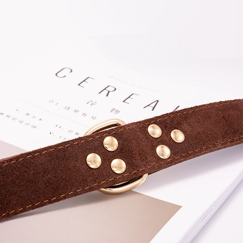 Leather Dog Collar for Whippet and Greyhound Breeds