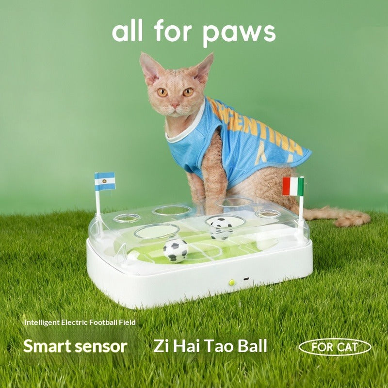 Cat Soccer Field Interactive Motion Cat Toy