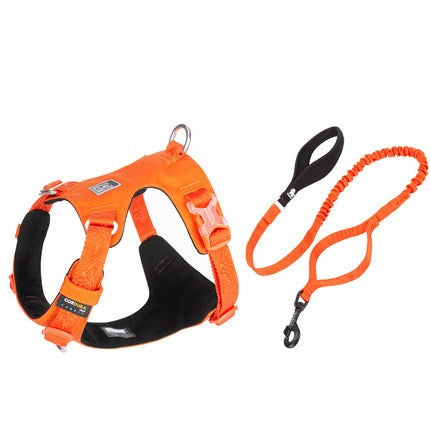 Large Pet Walking Dog Traction Rope and Chest Strap