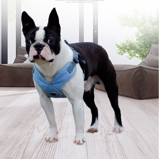 Teddy Breathable Puppy Chest Strap Harness