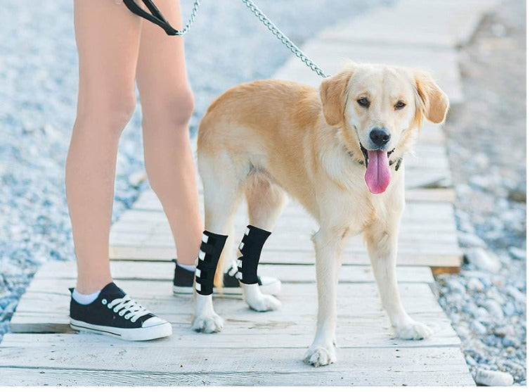 Dog Knee Brace