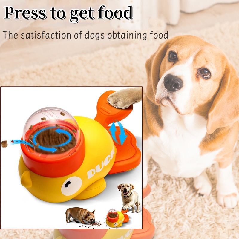 Dog Puzzle Feeder Cartoon Duck