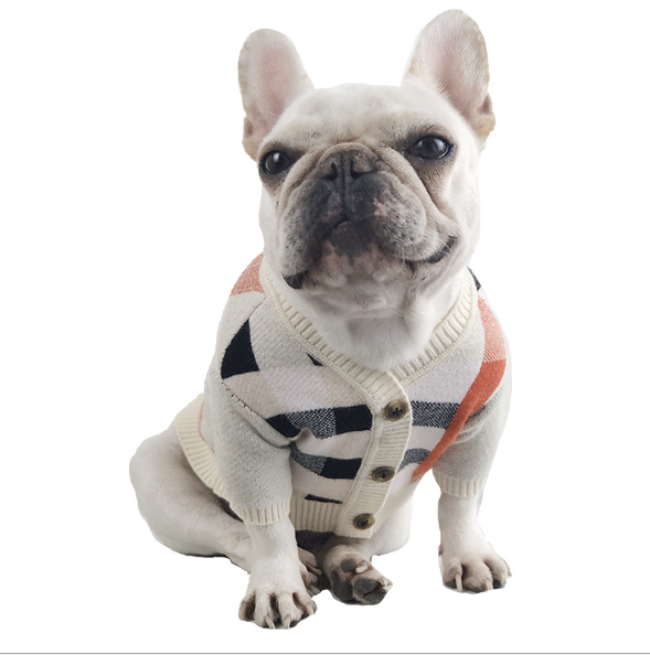 Fashionable Winter Sweater for Dogs and Pets