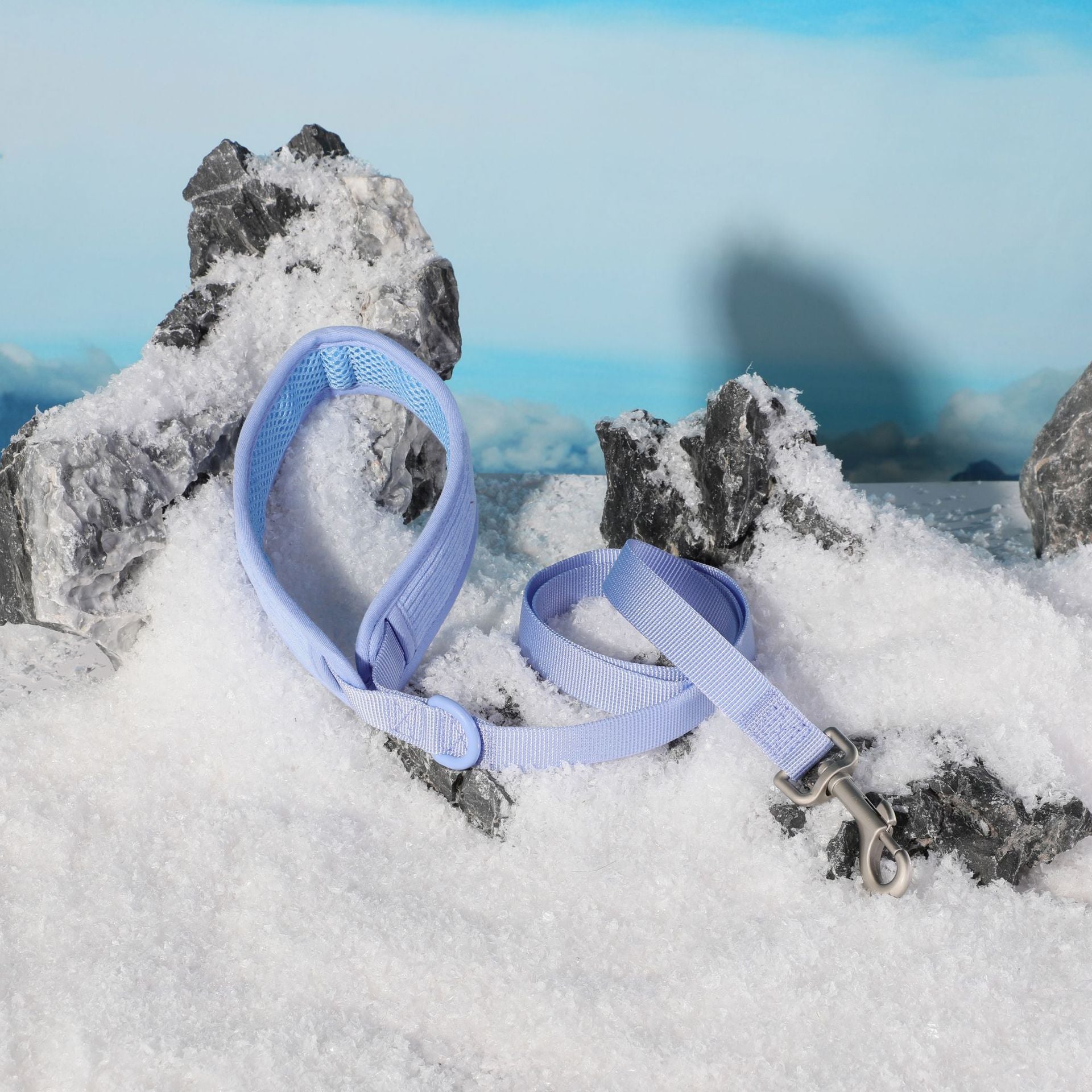 Baby Blue Pet Collar & Accessories Set