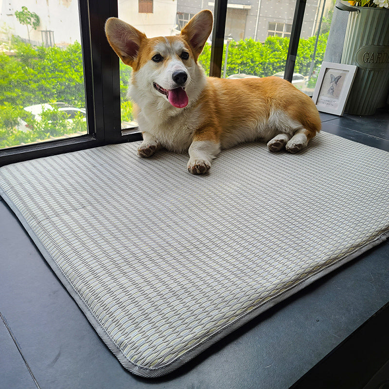 Summer Anti-Bite Dog and Cat Sleeping Mat
