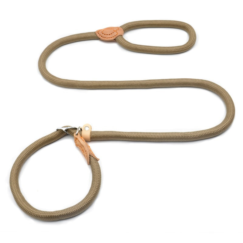 Chain Slip Dog Leash