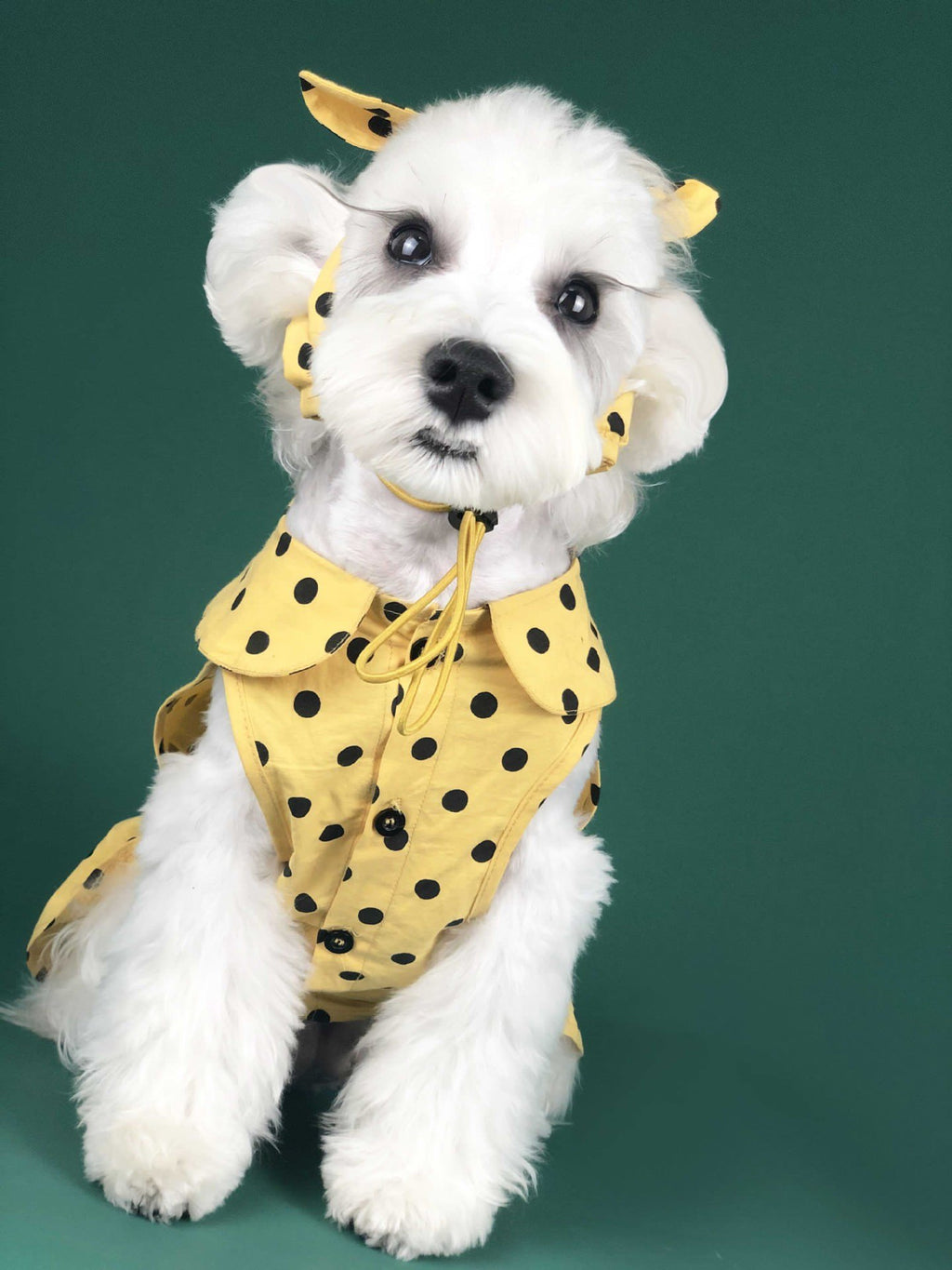 Summer Dress for Small Dogs - Cute Princess Style