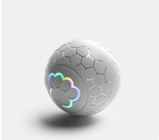 Pet Ball Toy
