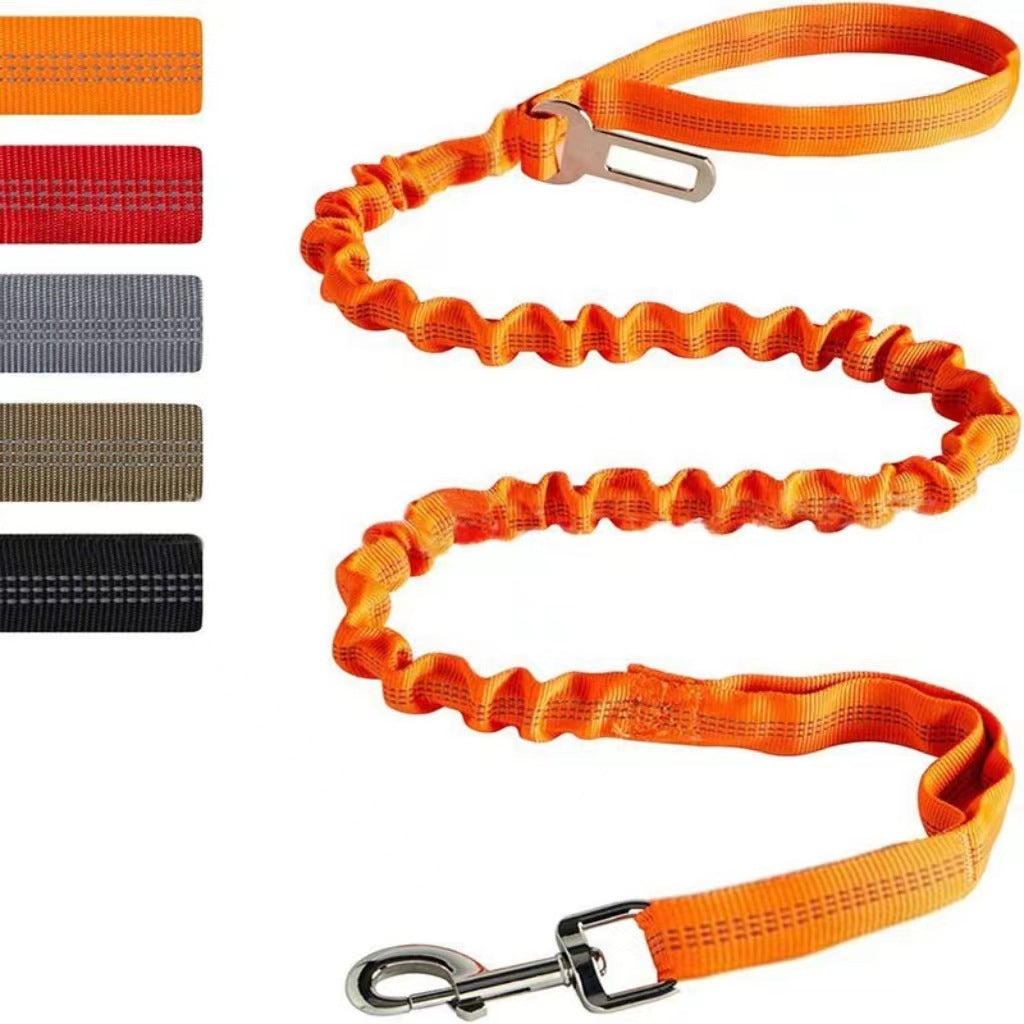 Reflective Polyester Dog Leash