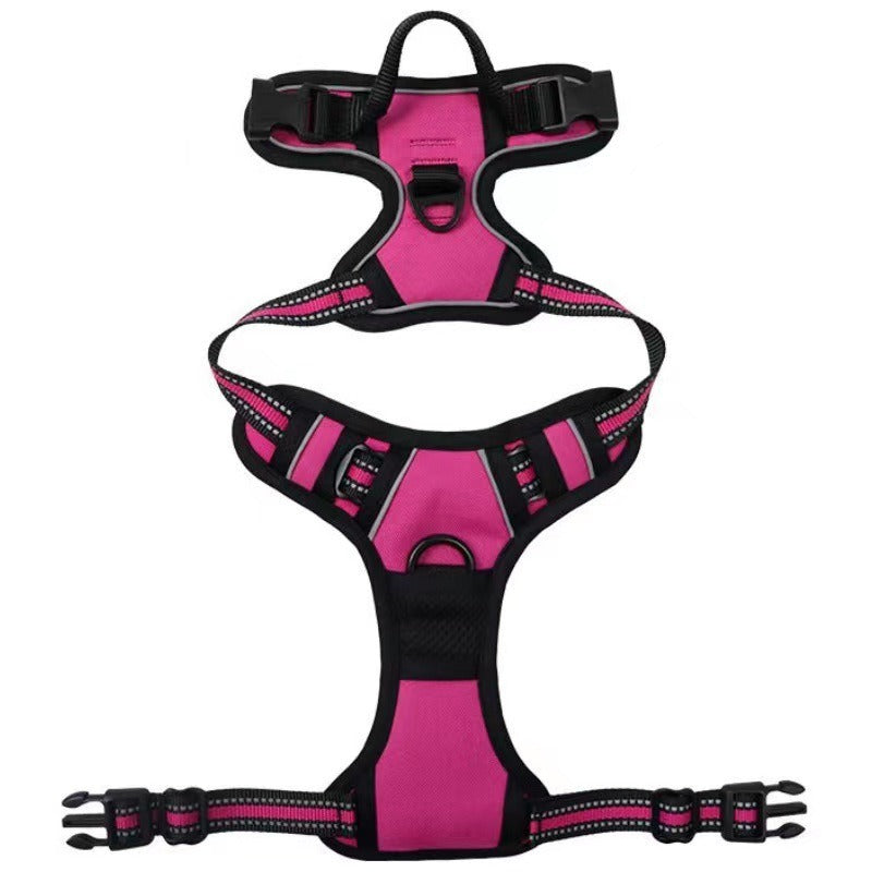 Nylon Dog Harness & Leash Set