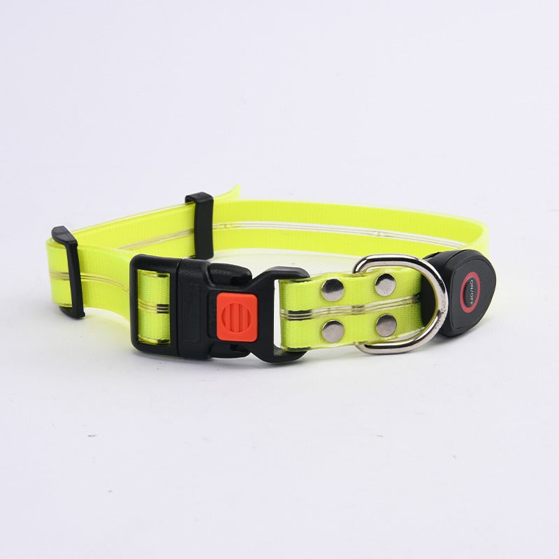 LED Light-Up Pet Collar & Leash