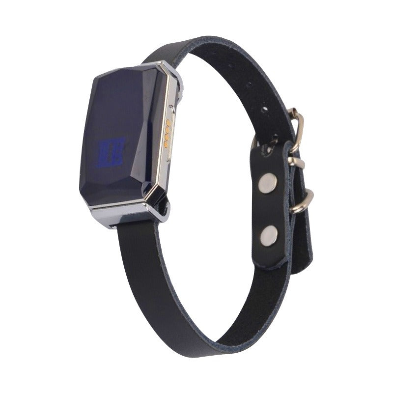 G12 Pet Navigator GPS Tracker