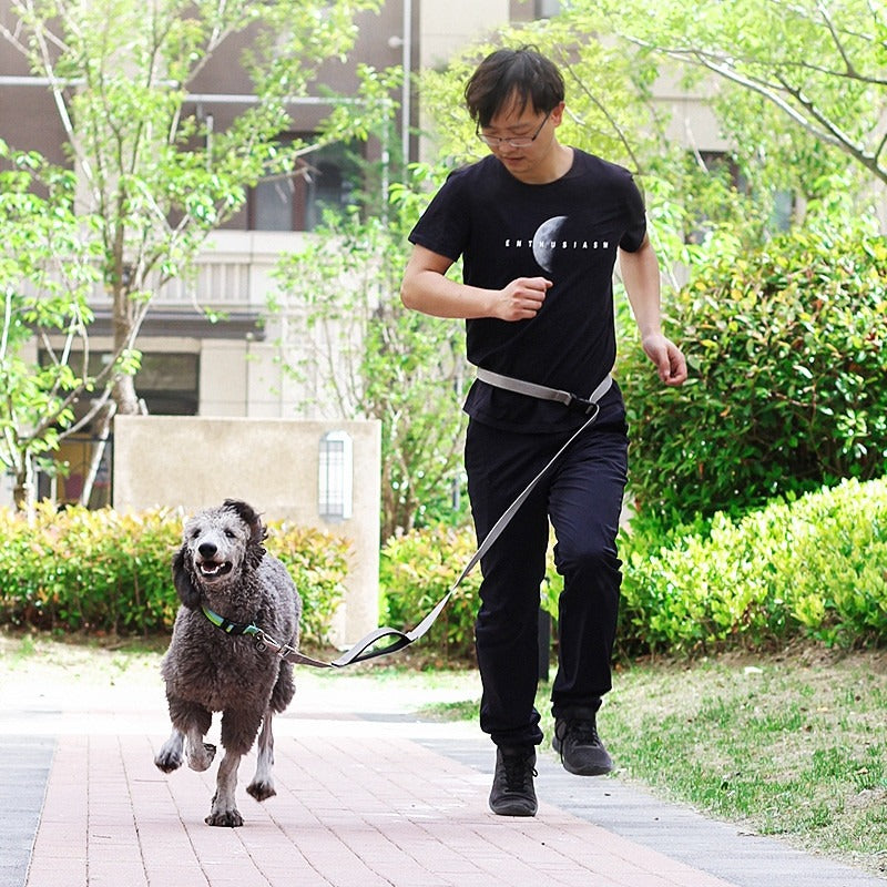 Multi-Functional Running Dog Leash
