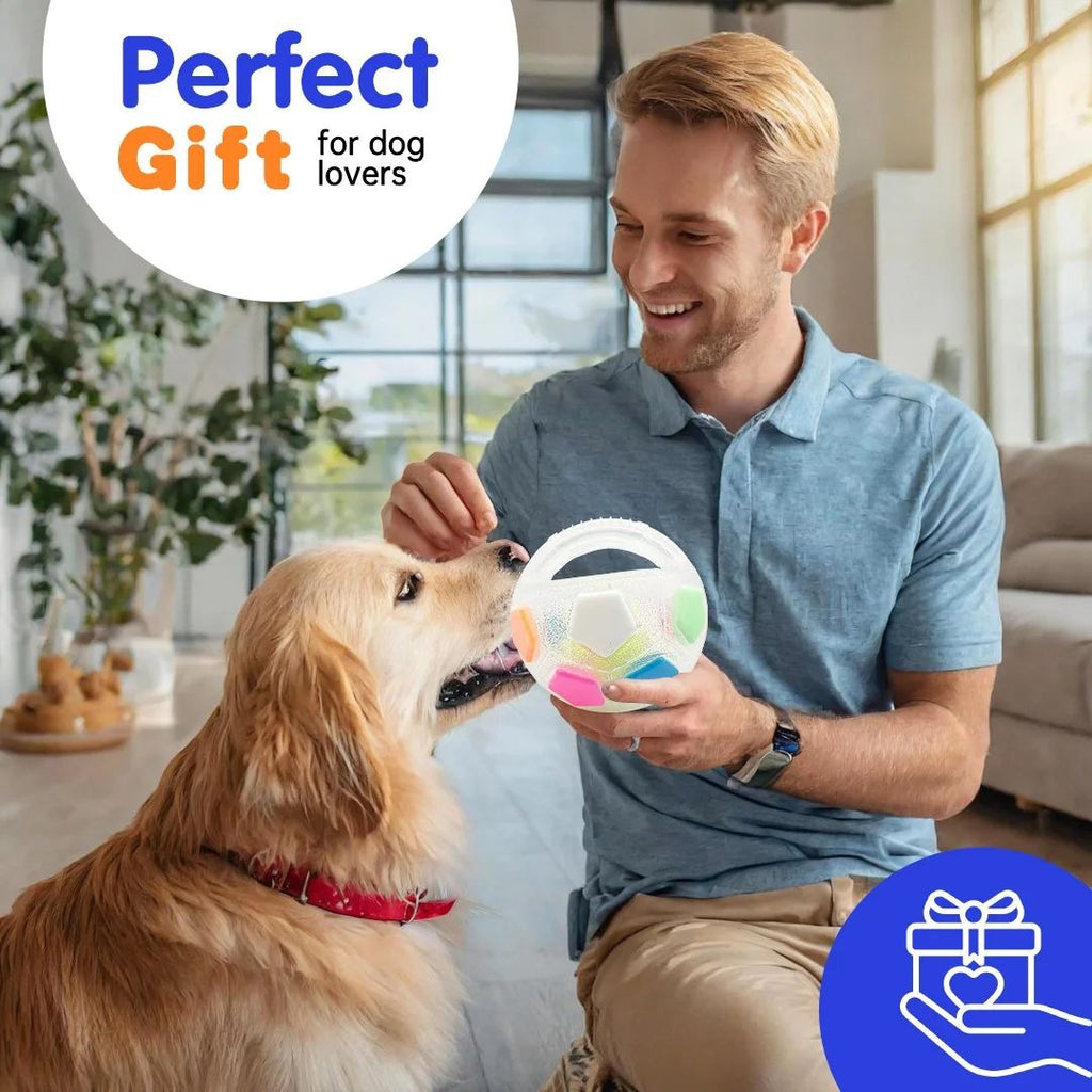 Football Tennis Ball Dog Toy