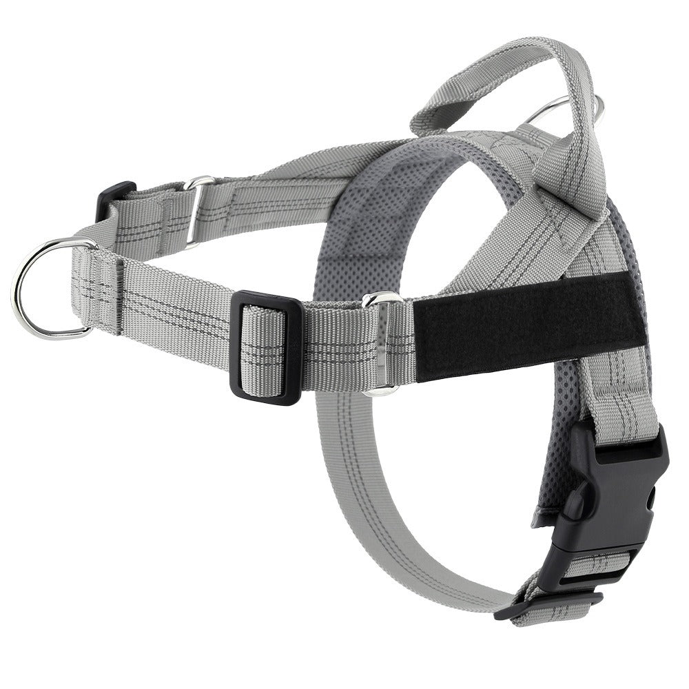 Lightweight Dog Harness and Leash Set
