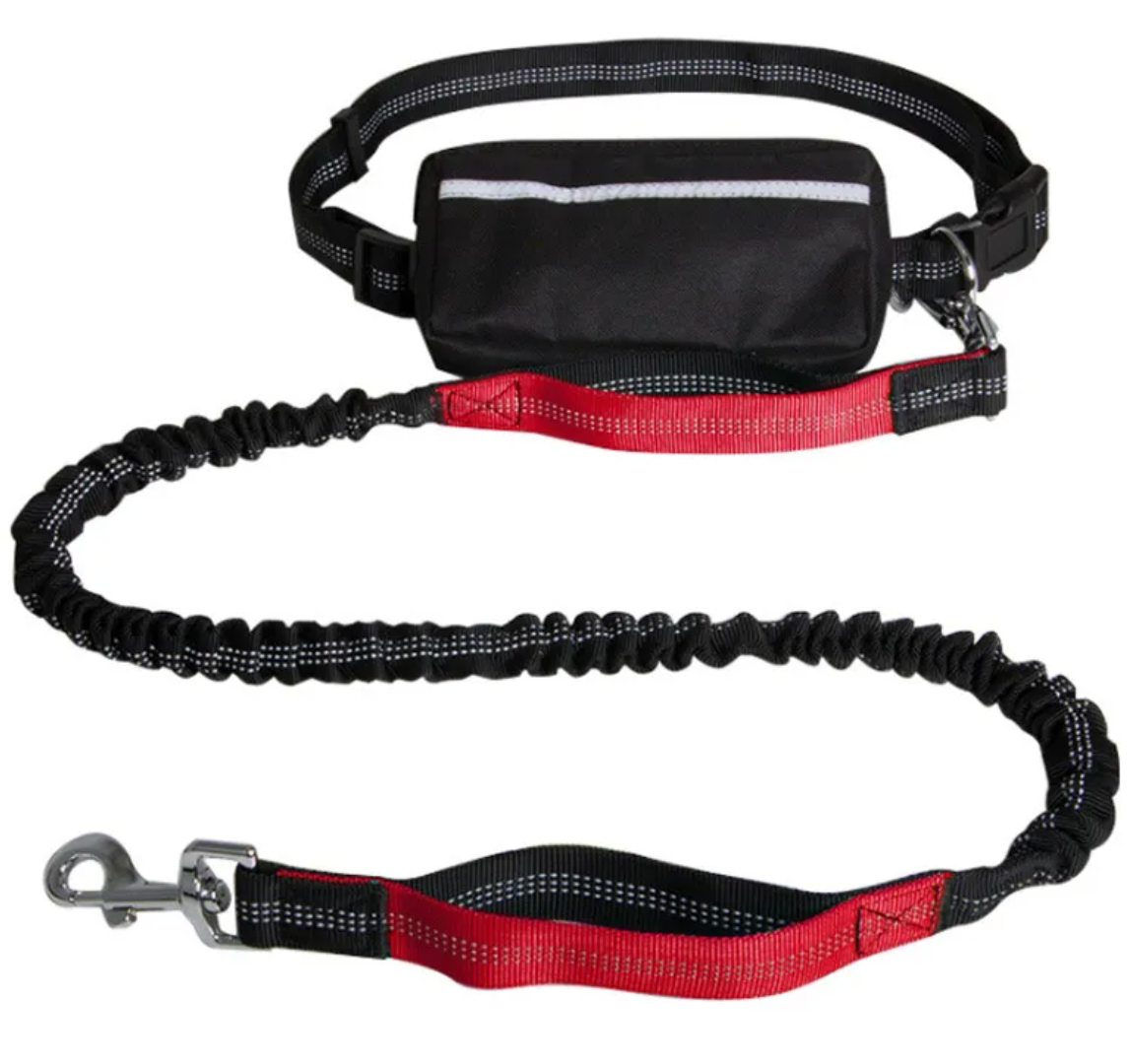 Hands-Free Reflective Dog Leash
