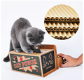 Cat Cardboard Box and Whack-a-Mole Toy