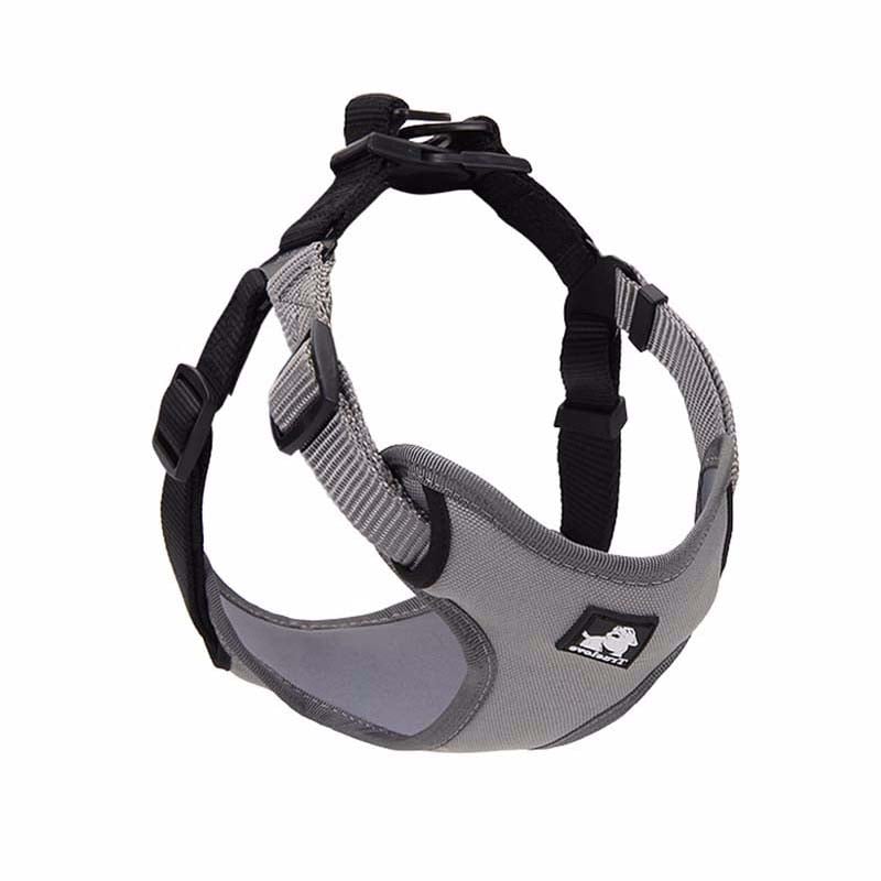 Dog Leash and Collar for Walking Your Pet