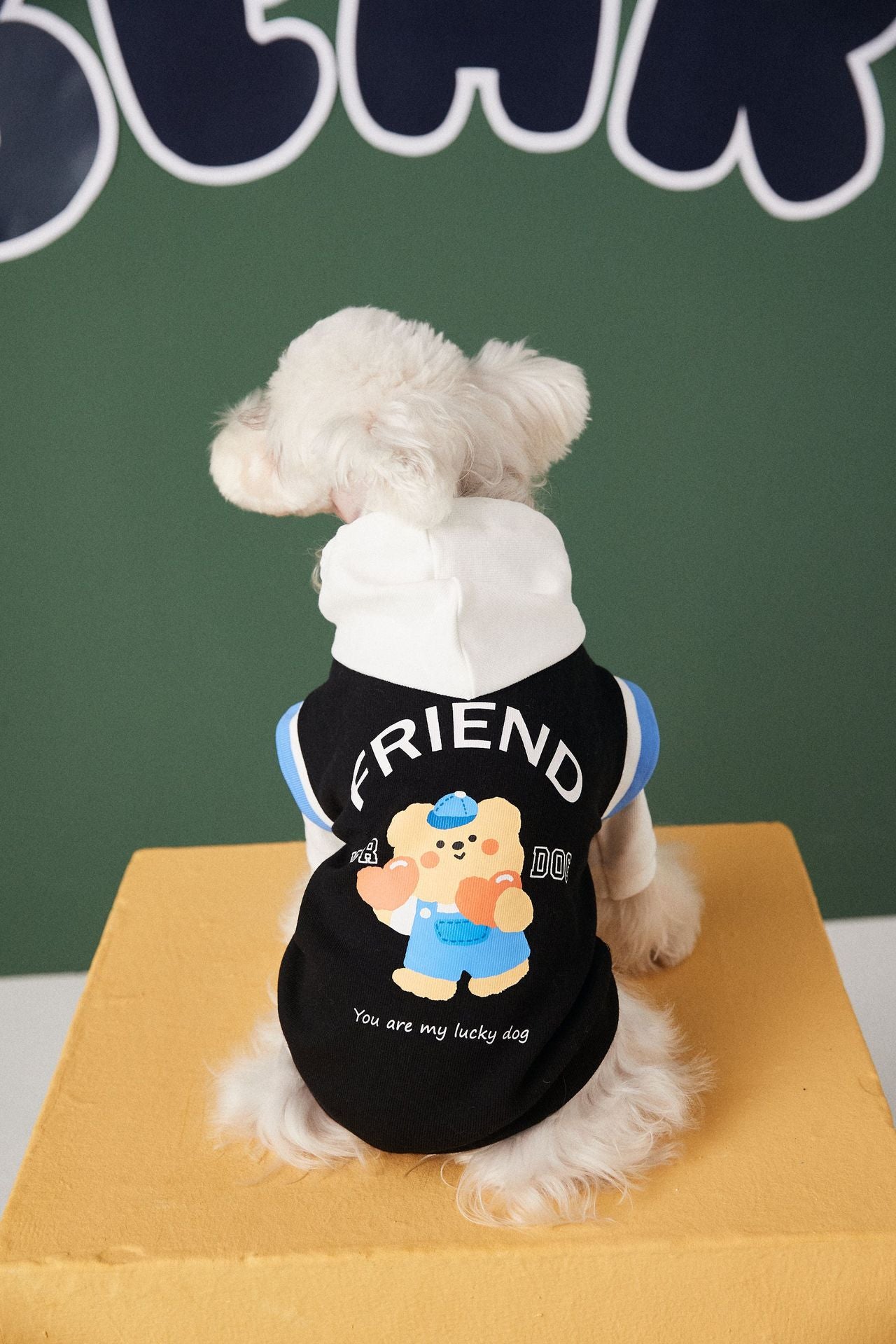Contrast Color Two-Piece Pet Sweater Fashion Stitching