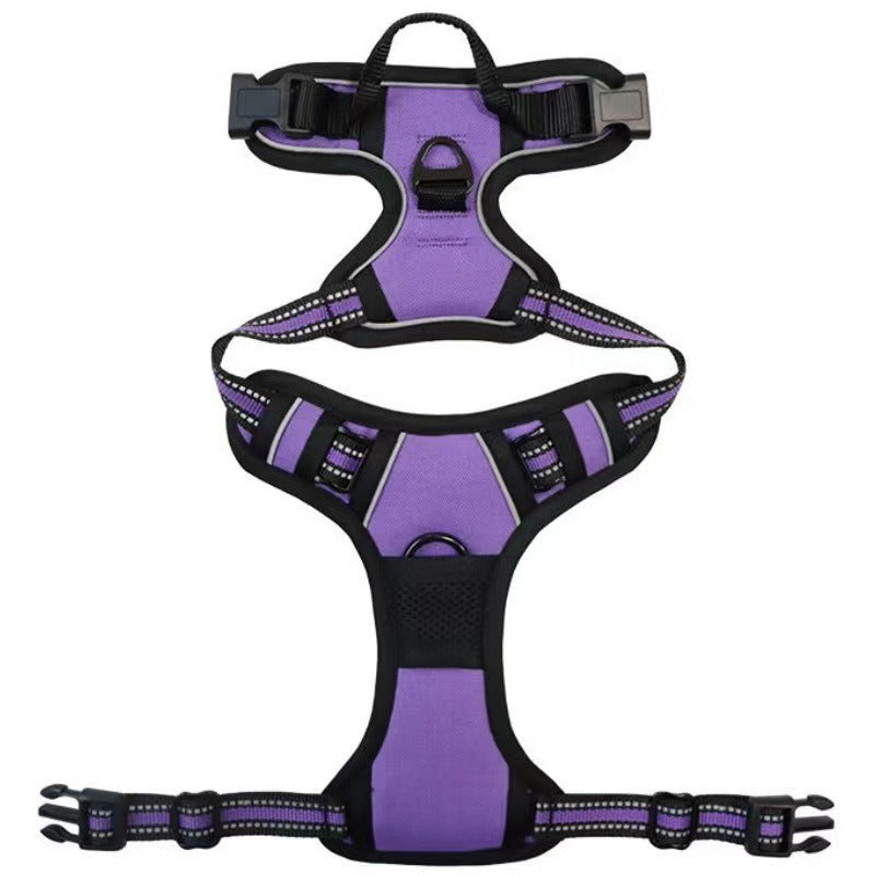 Nylon Dog Harness & Leash Set