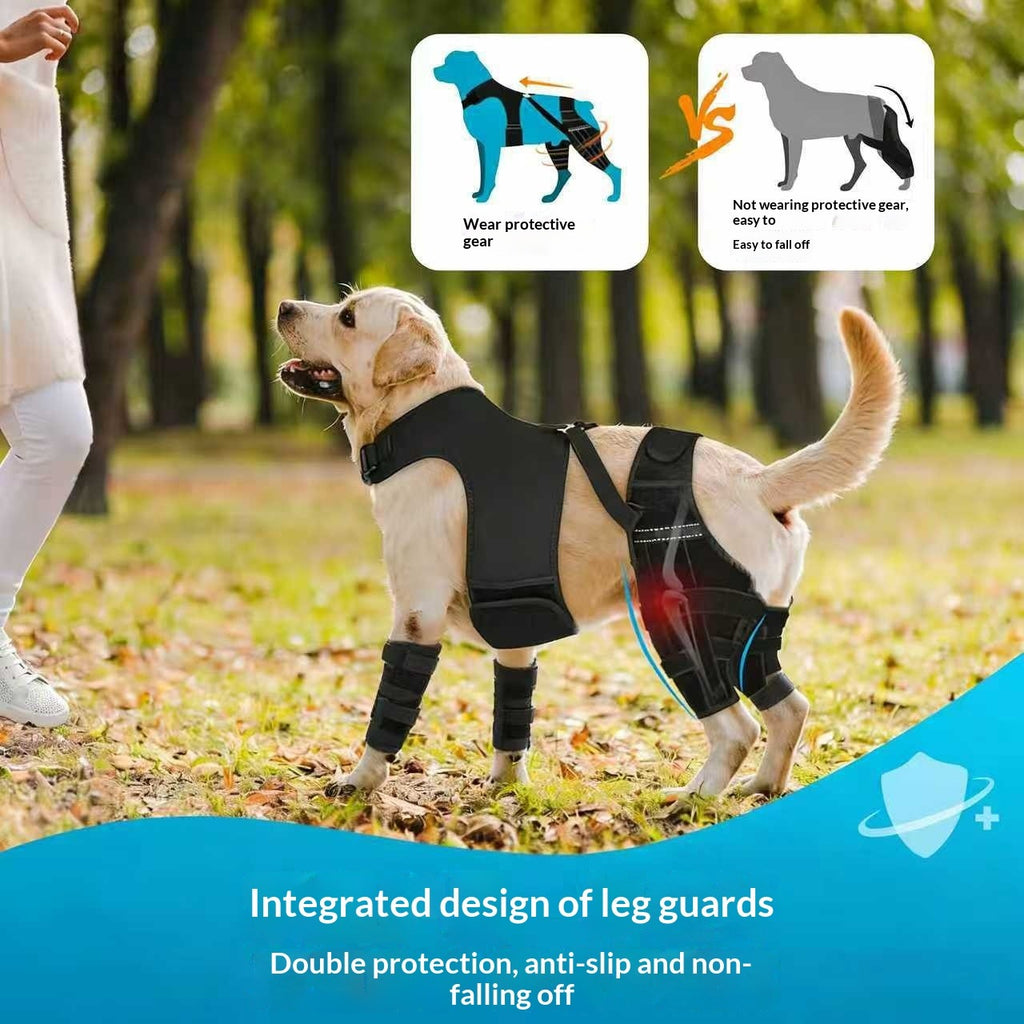 Rear & Hind Leg Cover