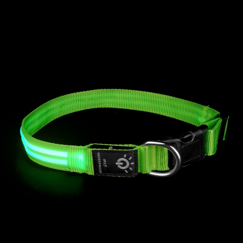 LED Waterproof Night Pet Collar with Lighting