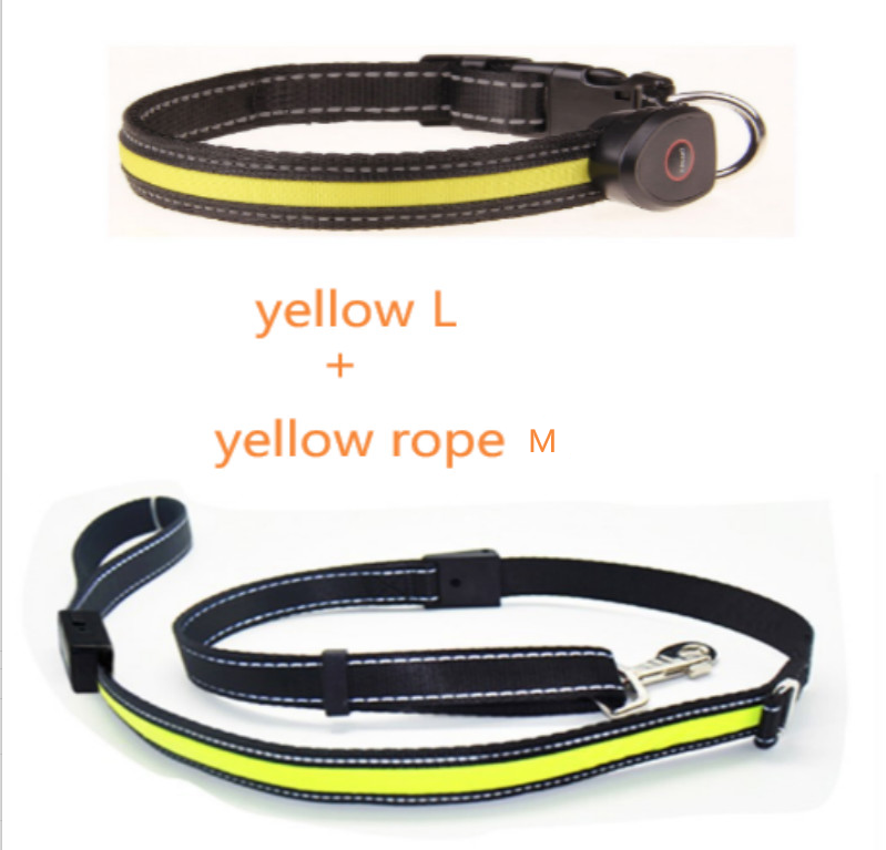 Luminous Dog Collar for Nighttime Safety and Visibility