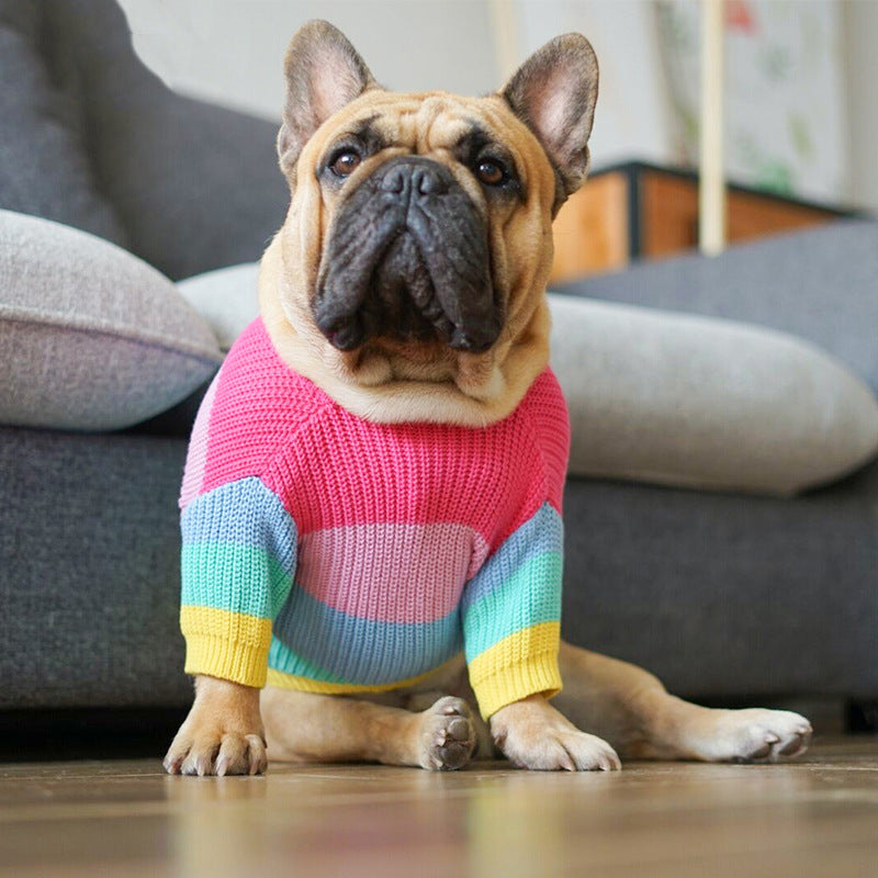 Cross-Border Rainbow Dog Knitted Sweater for Fall/Winter