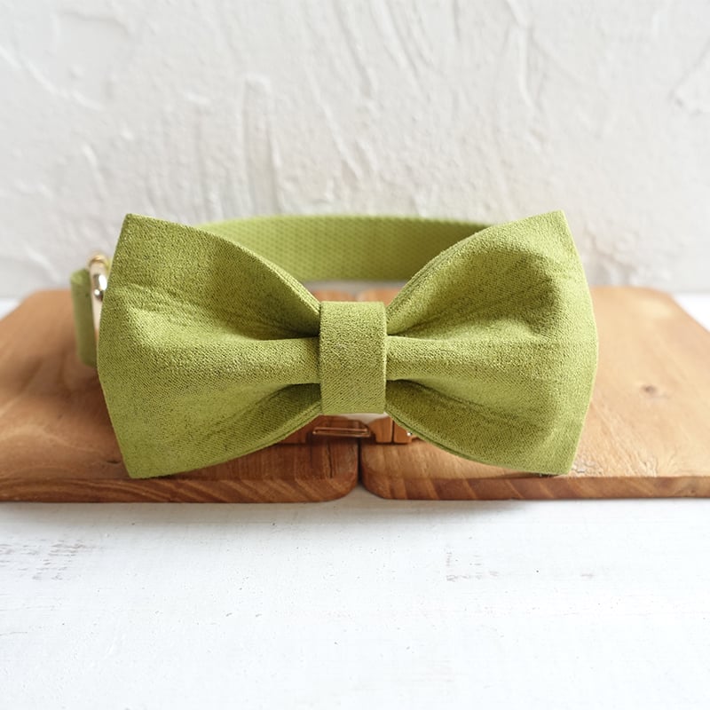 Fruit Green Yellow-Green Polyester Dog Collar and Leash