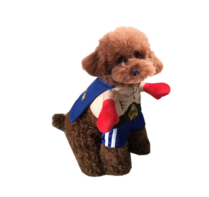 Dog Clothes and Boxer Cat Costume Outfit