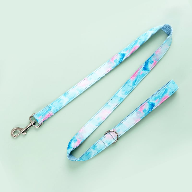 Printed Pet Collar and Leash Set