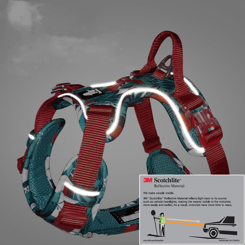 Dog Leash and Harness for Medium to Large Dogs