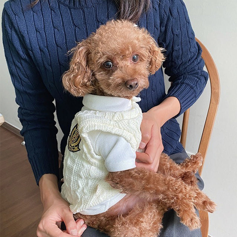 Two-Piece Set for Small Dogs and Puppies