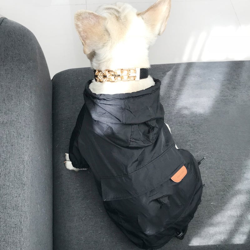Dog Sunscreen for Skin Protection