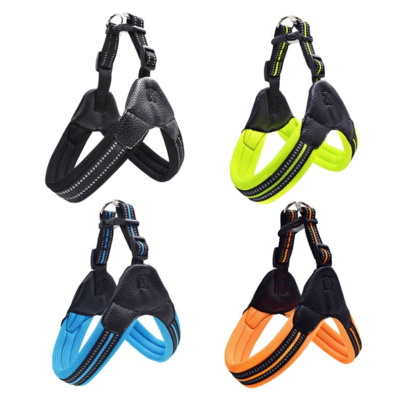 Reflective Dog Leash for Safety and Visibility