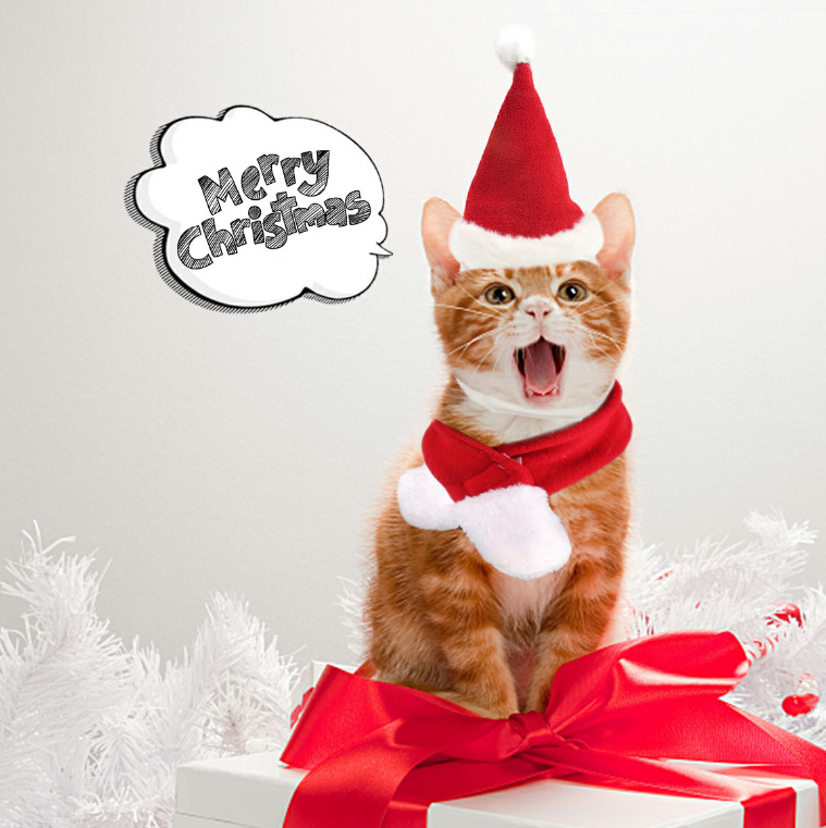 Christmas Outfit, Hat & Scarf Set for Pets