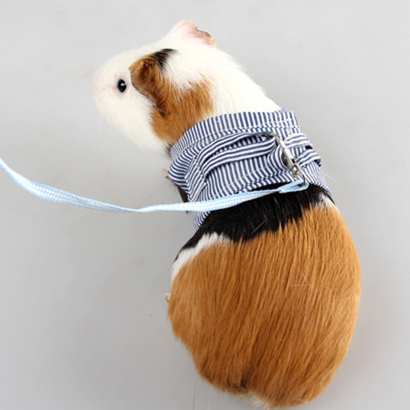 Towing Rope for Baby Rabbit and Chinchilla with Chest Strap