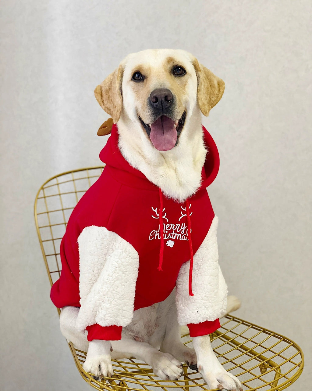 Pet Fleece Dog Sweatshirt