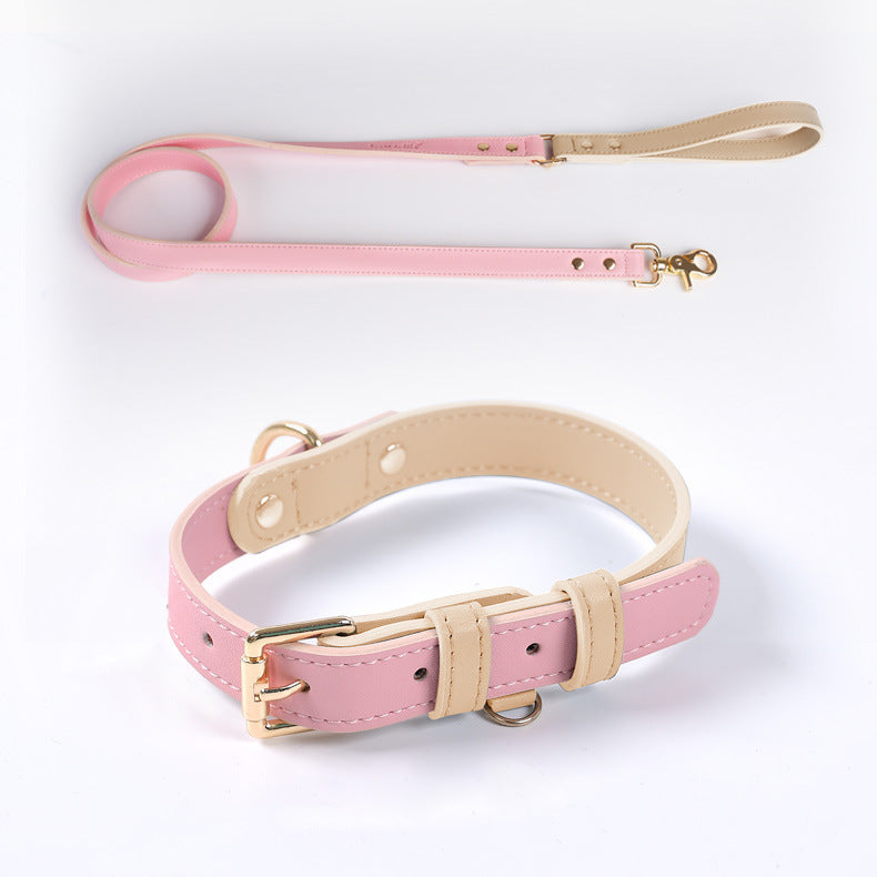 Leather Dog Leash & Collar