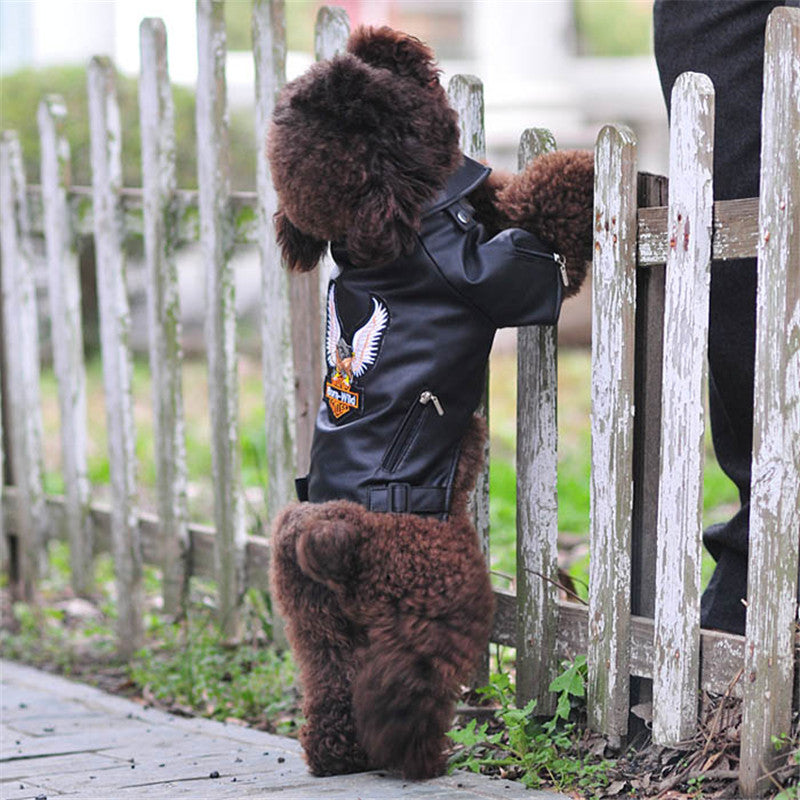 Embroidered Dog Jacket in Eagle PU Leather