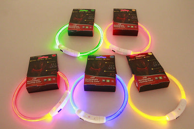 USB Rechargeable Pet Flashing Safety Collar for Night Walks