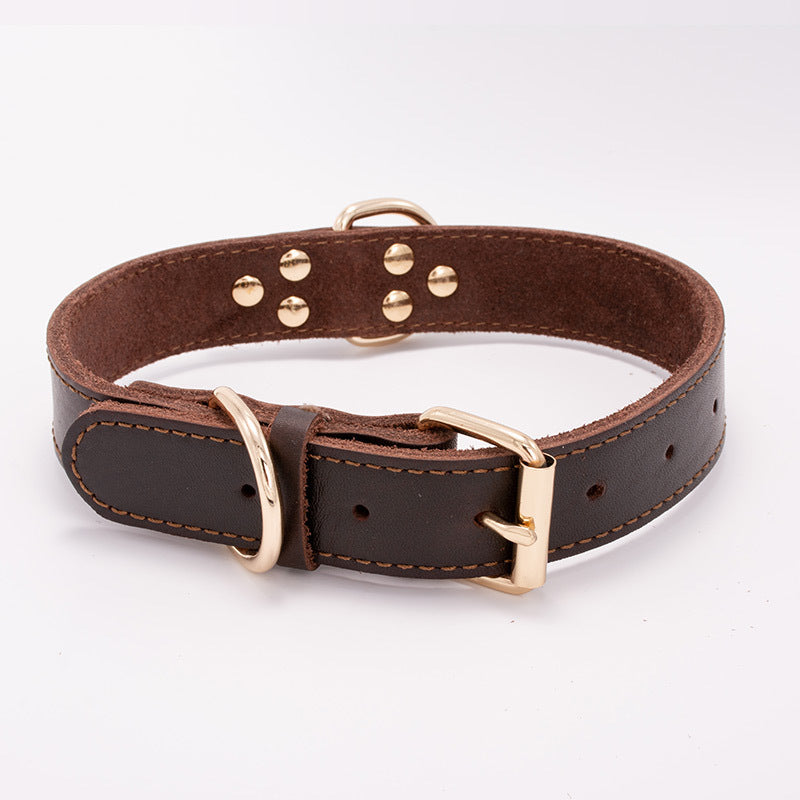 Leather Dog Collar for Whippet and Greyhound Breeds