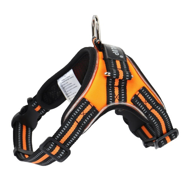 LED Dog Harness with Leash and Light-Up Collar